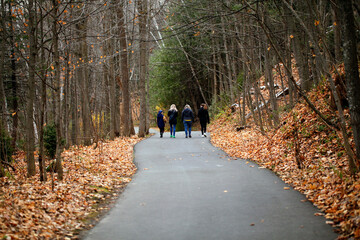 Promenade en famille dans un parc boisé en automne