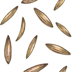 Watercolor seamless pattern with cumin seeds on white. Culinary ingredient for seasoning, recipe, packaging design, backdrop and background.