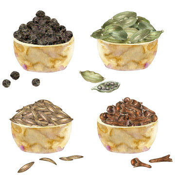 Watercolor collection of black papper, cardamom, cloves and cumin in bowl. Culinary ingredients for seasoning, recipe, packaging design.