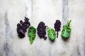 Green and purple kale leaves on gray background, copy space.