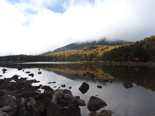 北八ヶ岳雨池の秋