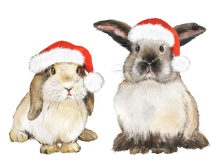 Watercolor drawing rabbits in christmas red hats, christmas rabbit, realistic rabbits, fluffy pet, farm