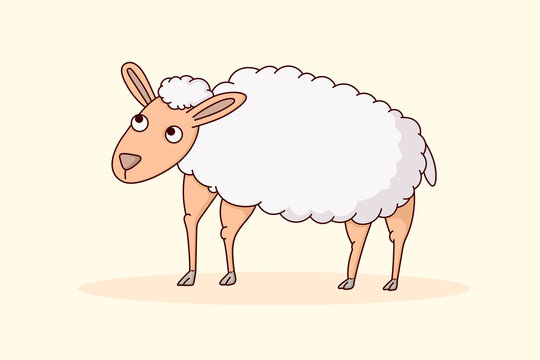 sheep, animal cartoon vector illustration