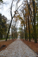 Busko Zdrój , puste ulice ,covid 19 Busko Zdrój , jesień 2020 Busko Zdrój , Busko Zdrój bez ludzi , bez ludności ulice , Busko Zdrój bez kuracjuszy , puste ulice pandemia w Busku Zdroju , Park w Busku © Szymon