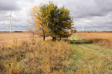 Fall Landscape with Wind Turbines