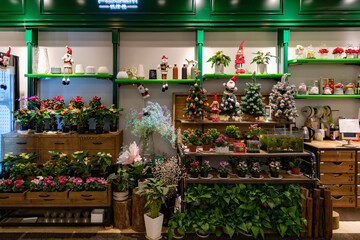 Christmas sale in floristic stall. Retail display of floristic stall with mini Christmas trees and fresh plants in flower pots. Christmas sale of floral arrangements in Shanghai, China