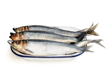 Raw herring fish on enameled bowl isolated on a white