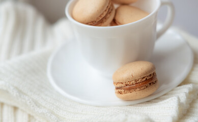 macarons in a coffee cup. caramel macaroons. Light flatley with dessert. Macaroni on white background. Cozy winter photography