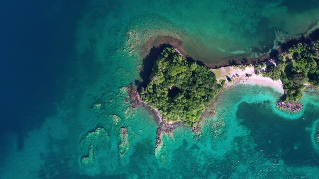 Top aerial shot of a peninsula Martinique point du bout coraf reef and clear water tropics french west indies 