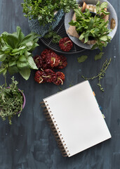 Spiral notebook in the bottom part of a still life composed by aromatic plants pots.