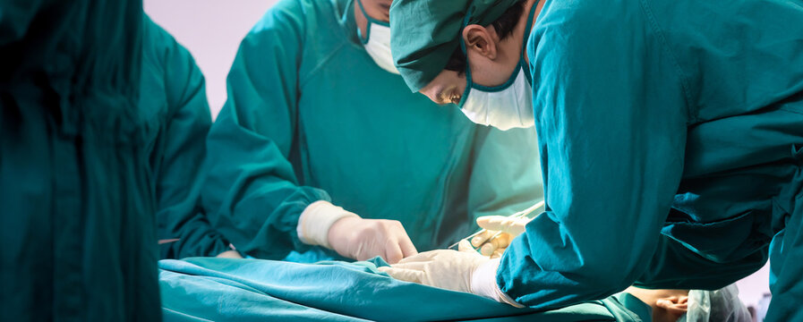 surgeon performs surgery with his team Panorama