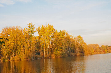Foliage d'autunno sul lago di Basiglio - Parco Sud Milano