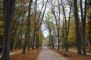 Busko Zdrój , puste ulice ,covid 19 Busko Zdrój , jesień 2020 Busko Zdrój , Busko Zdrój bez ludzi , bez ludności ulice , Busko Zdrój bez kuracjuszy , puste ulice pandemia w Busku Zdroju , Park w Busku © Szymon