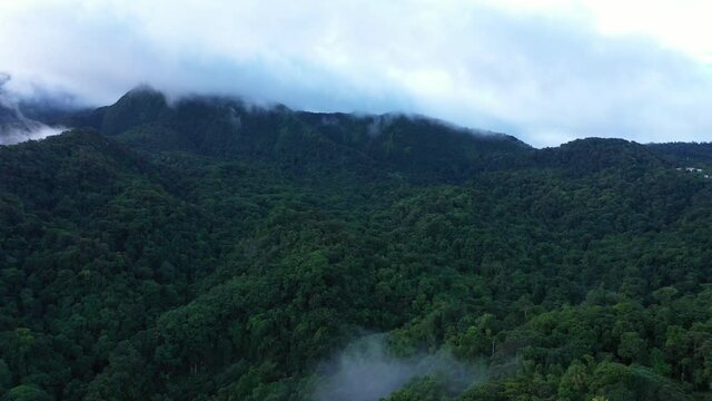 Deep jungle les pitons du Carbet mountains Martinique aerial shot cloudy day green mystic atmosphere 