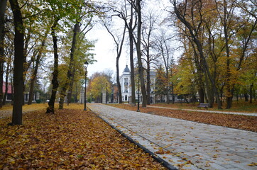 Busko Zdrój , puste ulice ,covid 19 Busko Zdrój , jesień 2020 Busko Zdrój , Busko Zdrój bez ludzi , bez ludności ulice , Busko Zdrój bez kuracjuszy , puste Park Zdrojowy w Busku Zdroju , Park w Busku © Szymon