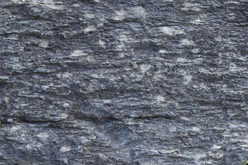 Close up of stone  texture in the forest, highly detailed