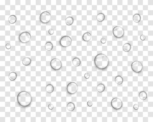 Fizzy bubbles on a transparent background. Bubbles of water, oxygen and soap. Vector realistic illustration.50