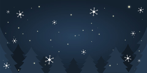 Vector illustration, the night sky of the Chrismas day.