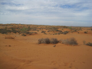 Fototapeta na wymiar The dry Sahara desert and Atlas mountain landscapes around Agadir in Morocco, Africa