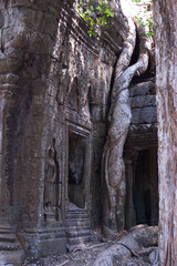 Les temples d'Angkor au Cambodge
