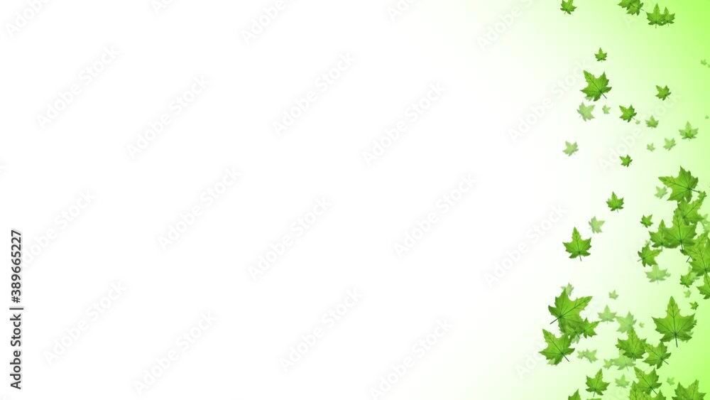 Poster abstract spring green leaves falling animation loop/ 4k animation of an abstract spring or summer se