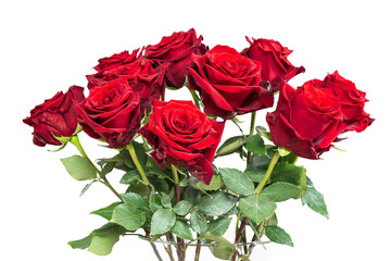 Bouquet of red roses isolated on white background.