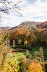 Arlesheim, Ermitage, Waldweg, Wald, Ausflugsort, Spazierweg, See, Seerosen, Morgensonne, Herbst,...