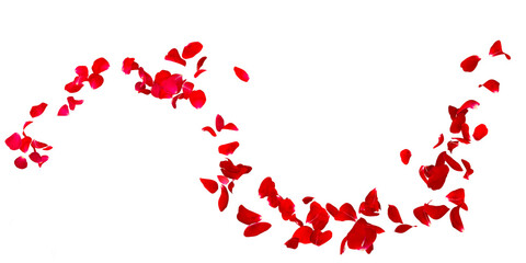 Petals Stock Image with blur effect