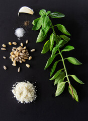 Basil Pesto ingredients
