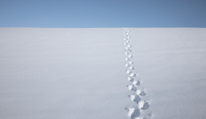 Fußspur im schnee bis zum Hirizont