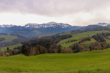 Fototapeta premium Beautiful green field landscape and snowy mountain in the background.