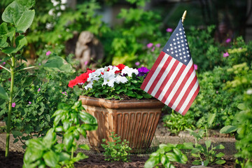 Patriotic petunias in red, white and purple (for blue) in a container in the garden with an American flag  - 389668463