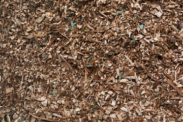 Pile of arborist wood chips used as a natural mulch in organic gardening