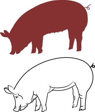 Silhouette of a pig. Vector image.
