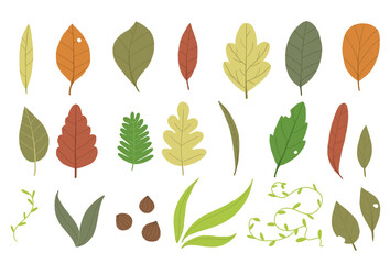 collection of different autumn leaves raster illustration isolated on white background