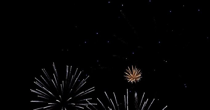 Fireworks Stock Footage In Black Background
