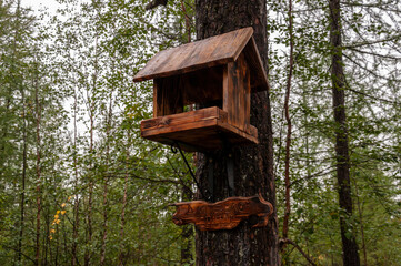 Handmade wood house for wild squirrel on the tree in the forest 