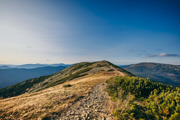 A sign on the side of a hill