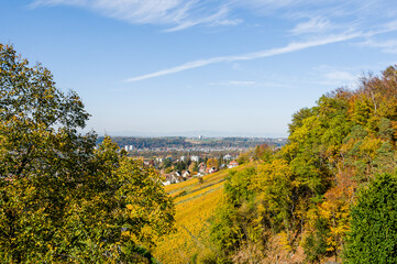 Arlesheim, Weinberg, Birstal, Birsebene, Dorf, Ermitage, Schloss, Wanderweg, Bruderholz, Basel, Herbst, Herbstlaub, Herbstfarben, Baselland, Schweiz