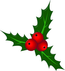 Bright Christmas illustration. Holly with berries and leaves. Vector
