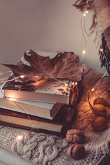Stack of books on the knitted blanket with the brown autumn leaf on the top. Concept of cozy autumn reading. 