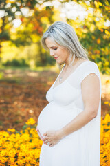 Beautiful Pregnant Woman at the Park in Autumn