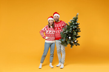 Full length of laughing young Santa couple friends man woman wearing red sweater Christmas hat hugging hold fir tree isolated on yellow background studio. Happy New Year celebration holiday concept.