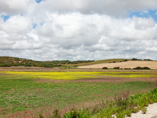 Fototapeta na wymiar view of green rural area against clouds sky. Spain, Andalusia
