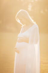 Fototapeta na wymiar Pregnant Woman Silhouette