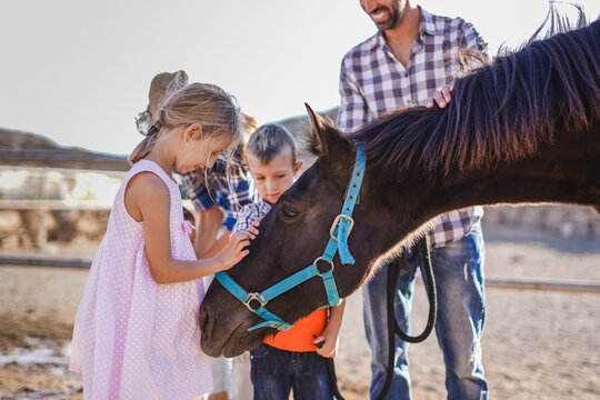 Family enjoy day at horse ranch - Parents and children - Animal love