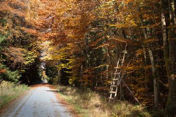 Jägerstand im herbstlichen Wald