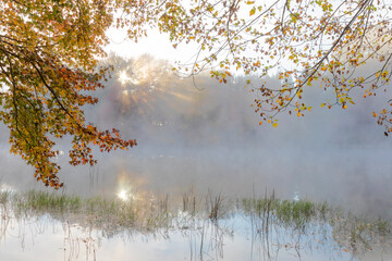 Mist on the water and autumn colored leaves in the trees