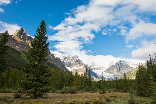 View of Rocky Mountains and sub-alpine forest in Banff National Park.
