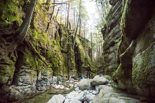 One man exploring lush river canyon in Vancouver, Canada.